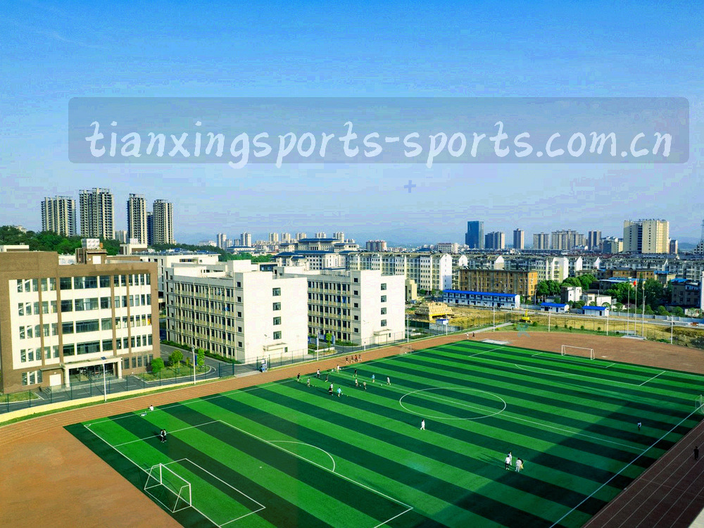 由线路与版本号节点组成的抽象拓扑图，线条细密交错